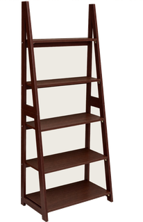 Ladder Shelf